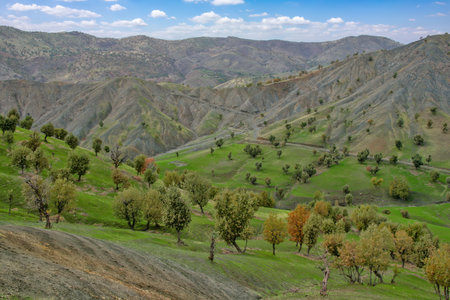 A wide-angle view of dry, rugged Zagros foothills
