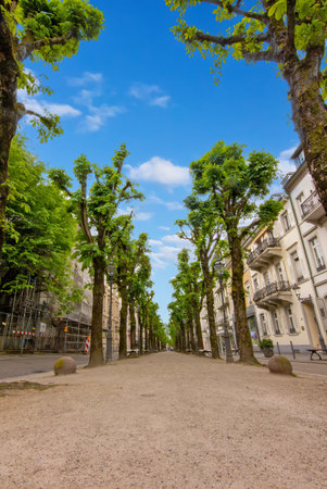 Lichtentaler Allee -Chestnut Alley in Baden-Baden, characterized by a long, deep path lined with rows of pollarded treesの写真素材