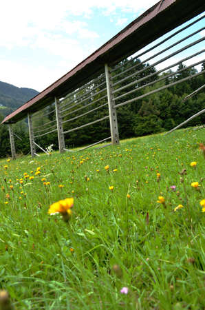 Hayrack in grassfieldの写真素材