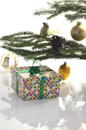 One colorful christmas present under a christmas tree. With reflection on white background.の写真素材