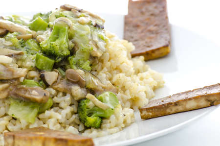 A closeup of macrobiotic dinner made of rice, mushrooms,vegetable and tofu, served on a white plate の写真素材