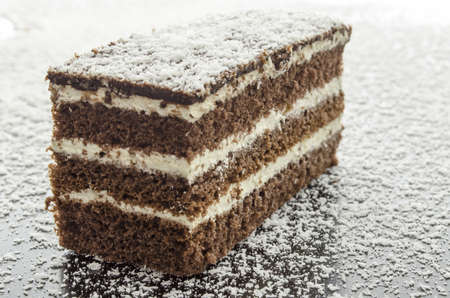 A piece of cake on grated coconut flakes.の写真素材