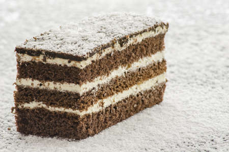 Dellicious cake on shredded coconut flakes の写真素材