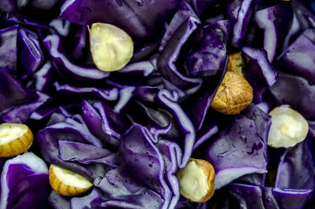 Closeup of red chopped cabbage with hazelnuts の写真素材