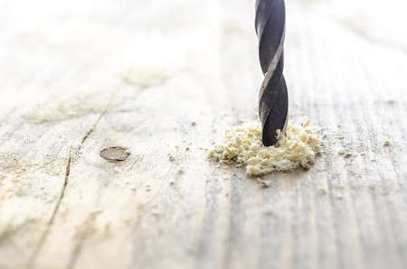 Closeup of wood drill bit with sawdust の写真素材