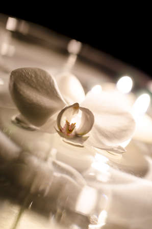 Orchid flower by candlelight floating on the water の写真素材