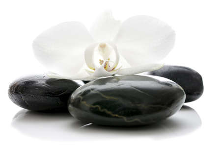 Orchid flower on top of basalt zen stones  Isolated over white background の写真素材