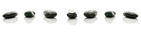 Spa stones in a row with water drops  White flower petal on top of the middle one の写真素材