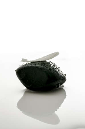 White petal on a black spa stone  With reflection in the water の写真素材