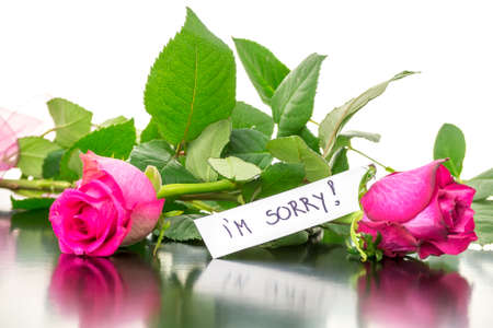 Two beautiful pink roses with I'm sorry message.の写真素材