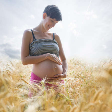 Cheerful young woman in late pregnancy standing in the middle of golden wheat field looking lovingly...