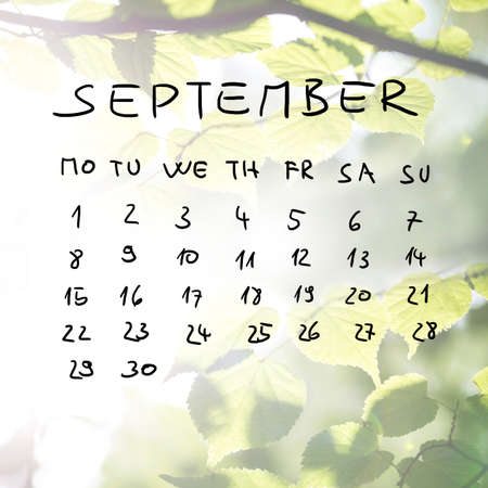 Hand-drawn calendar for the month of September over a faded spring with flare effect of fresh green beech tree leaves on a branch.の写真素材