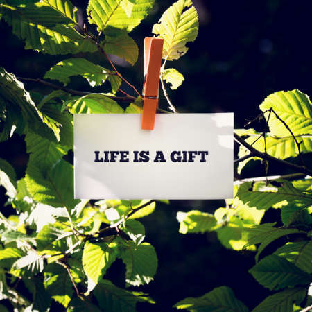 Life is a Gift inspirational and motivational message handwritten on a white card or sign hanging by a clothes peg from a green leafy branch outdoors.の写真素材