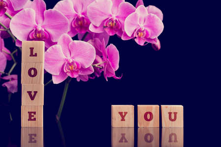 Love You message on wooden alphabet blocks with a beautiful fresh bouquet of pink phalaenopsis orchids on a black background with copyspace for an anniversary or Valentines Day.の写真素材