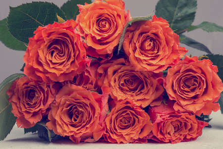 Close up Bunch of Beautiful Orange Roses Flower with Green Leaves, Toned Retro Effect.の写真素材