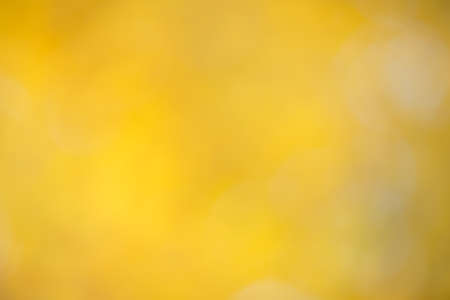 Blurred yellow abstract background with a mottled graduated pattern, full frame.の写真素材