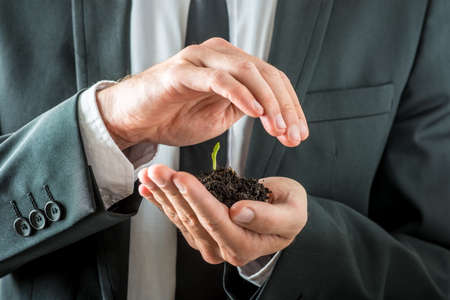 Businessman nurturing a germinating seedling in rich fertile soil cupping it in his hand while...