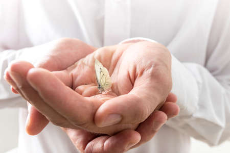 Conceptual Two Bare Hands of a Businessman in White Long Sleeves Shirt, Showing Small Butterfly...