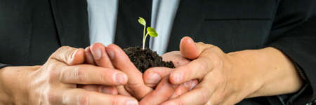 Man and woman nurturing a new plant cupping a young sprouting seedling in rich fertile soil in their hands in a conceptual image, close up view of their entwined cupped hands.の写真素材