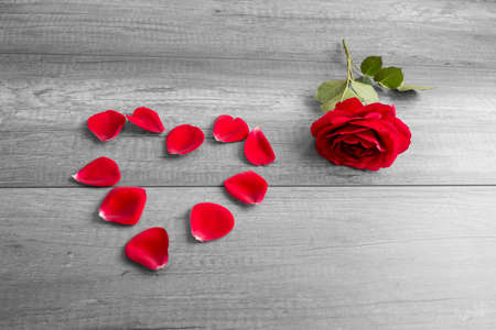 Red Rose Beside Petals Arranged in Heart Shape on Rustic Wooden Surface - Love and Romance Concept Image with Copy Space.の写真素材