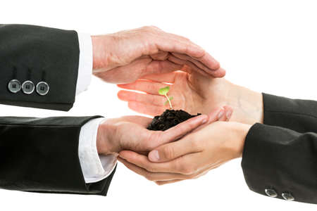 Businessman and woman protecting a seedling growing in fertile soil in their cupped hands working together as a team in a conceptual image, suitable for business, teamwork and life concepts, close up of their hands.の写真素材