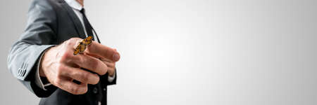 Businessman with a butterfly on his finger holding out his hand towards the camera, low angle view against a grey background with copyspace.の写真素材