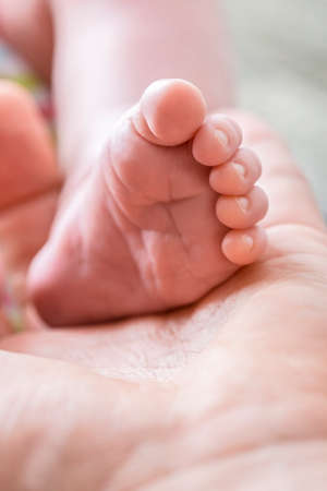 Innocent life - closeup of tiny baby foot in the palm of male hand.の写真素材