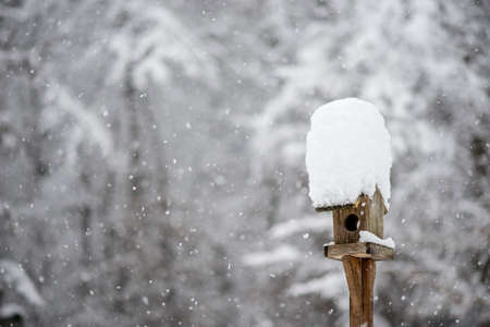 Small wooden bird feeder with a hat of heaped fresh white winter snow and falling snow flakes.の写真素材