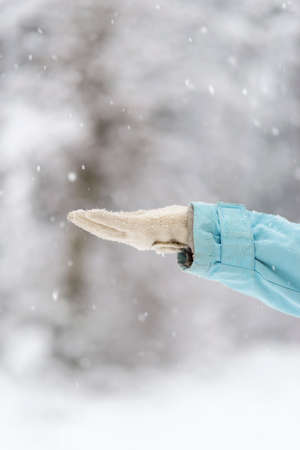 Closeup of female hand in woolen glove catching snowflakes in a winter season concept.の写真素材