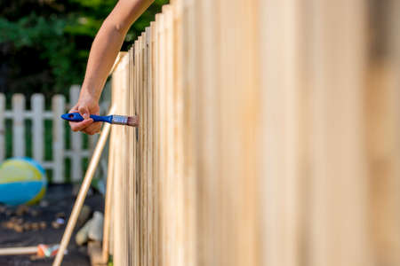 Female hand varnishing a wooden fence around backyard with a blue brush.の写真素材