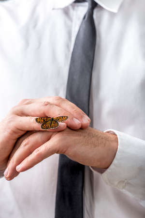 Closeup view of man in white shirt and a tie with butterfly sitting on his hands.の写真素材