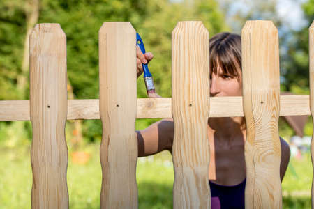 Young woman varnishing a fence with a brush and transparent varnish on a backyard.の写真素材