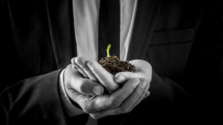 Businessman holding a germinating plant sprouting its first tiny green leaves growing in rich soil cupped in his hands in a close up view, conceptual image.の写真素材
