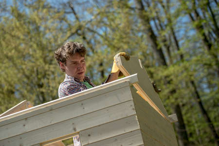 Young man building a wooden garden hut standing inside fitting a plank of wood into position viewed from below.の写真素材