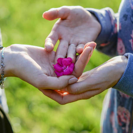 Person lovingly placing a flower in the palm of a womans hand, green background.の写真素材