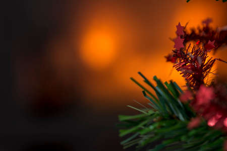 Christmas background with copy space and focus to small red stars on the branch of a Xmas tree.の写真素材