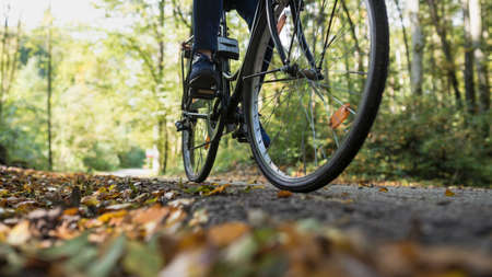 Person riding a bicycle along a forest road in autumn with fallen leaves in a low angle view of the...
