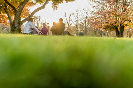 Young family sitting outdoors in the garden in autumn watching the setting sun in a low angle view over the green grass.の写真素材