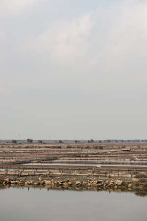 Natural Park Secovlje - Salt Pans in Slovenia, Europeの写真素材