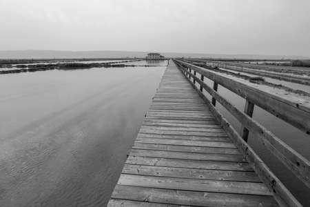 Greyscale image of Secovlje Saltpans Natural Park is a natural park in southwestern Slovenia.の写真素材