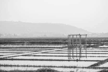 Abandoned Secovlje Salina Nature Park is situated in the southwestern part of Slovenia. Greyscale image.の写真素材