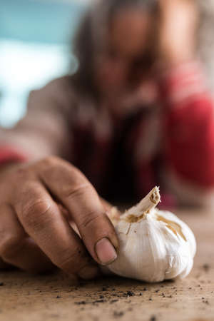 Dirty hand of a man covered in soil with a fresh bulb of garlic and scattered earth on a rustic wooden table in a close up view.の写真素材