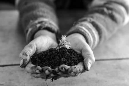 Man holding a flower in soil cupped in his hands in a greyscale image conceptual of nature.の写真素材