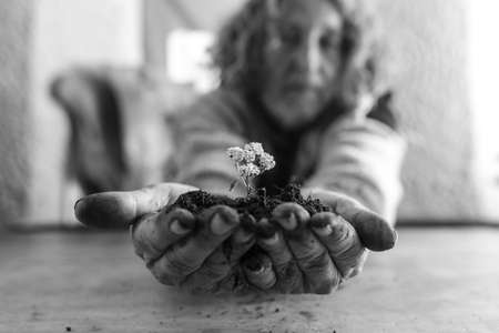 Old man holding a dainty white flower in rich soil cupped in his dirty hands in a greyscale image.の写真素材