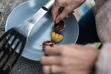 Top closeup view of a woman opening roasted chestnut take it out of its shell.の写真素材