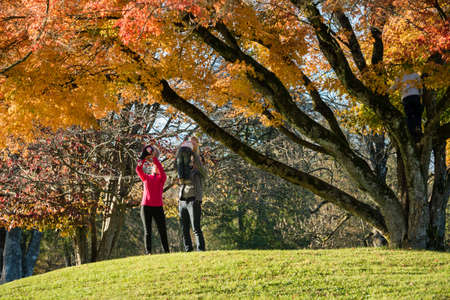 Young couple in autumn park playing with their kids each lifting one child high above their heads.の写真素材