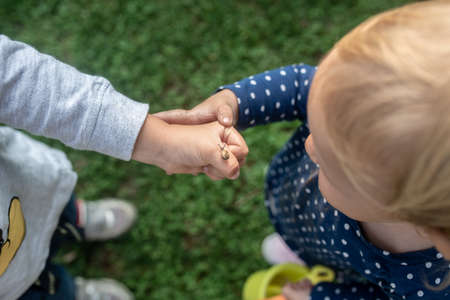 Top view of toddler boy showing his little sister a tiny snail on his hand.