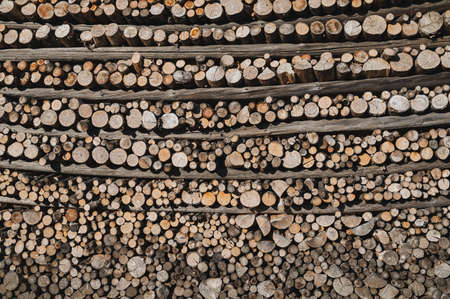 In precise order folded firewood in between horizontal crossbars of a hayrack.
