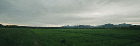 Beautiful landscape panoramic image - green meadow and wheat field under cloudy sky.