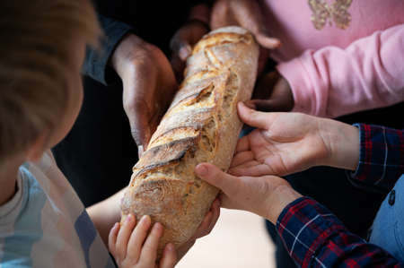 Hands of four children, black and white, holding  one loaf of bread in a conceptual image of hunger and poverty.の写真素材